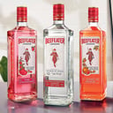 Foto de Gin Tonic Beefeater (Frutos Rojos - Naranja - Limon)