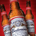 Foto de Budweyser six pack