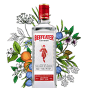 Foto de Gin Beefeater