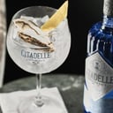 Foto de CITADELLE GINEBRA PREMIUM CON HIELO 0.50CL / ICE CUBE