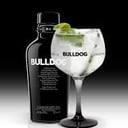 Foto de BULLDOG GINEBRA PREMIUM CON HIELO 0.50CL / ICE CUBE