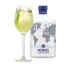 Foto de GINEBRA NORDES PREMIUM CON HIELO 0.50CL / ICE CUBE