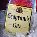 Foto de BOTELLA DE GIN SEAGRAM"S AMERICANO & SEAGRAM"S BOTLLE GIN