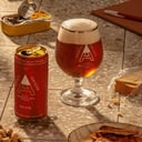 Foto de Andes Roja 473 ml