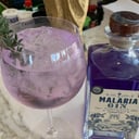 Foto de Gin Tonic Malaria