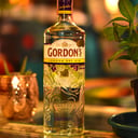 Foto de Gordon's Gin Bt