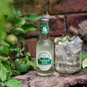 Foto de GINGER ESPECIAL FENTIMANS SABORES