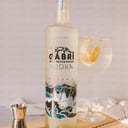 Foto de VODKA ARTESANAL GABRI